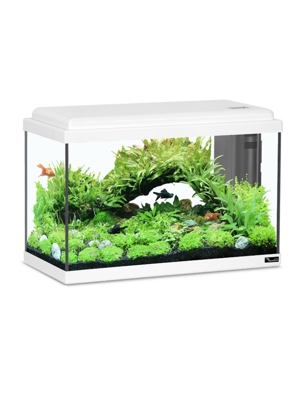15968 Aquario LED BIO 50 Branco 44L 50