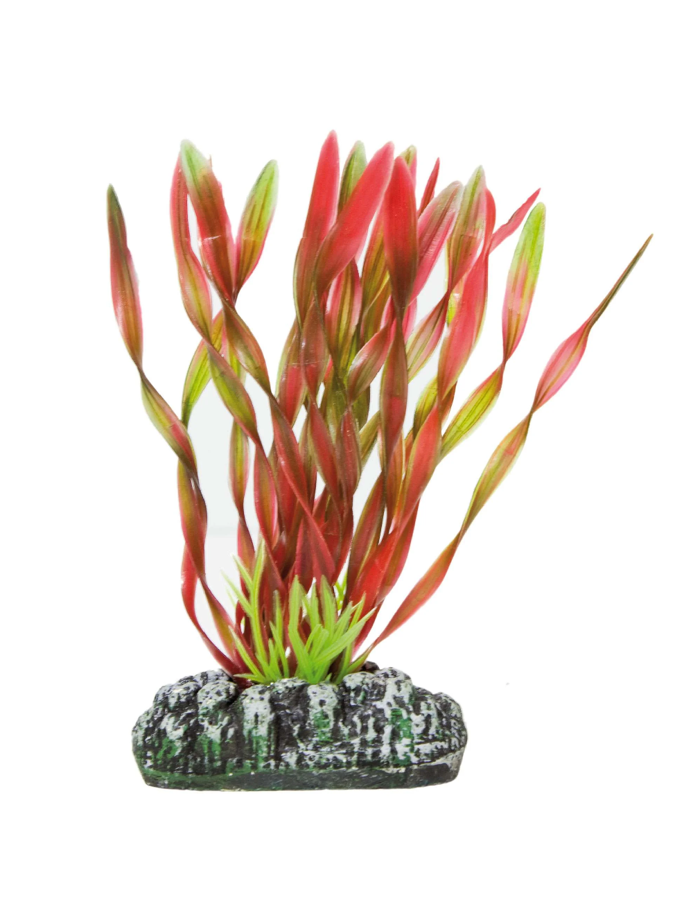 AP1032 planta plastica valesneria vermelha 28cm