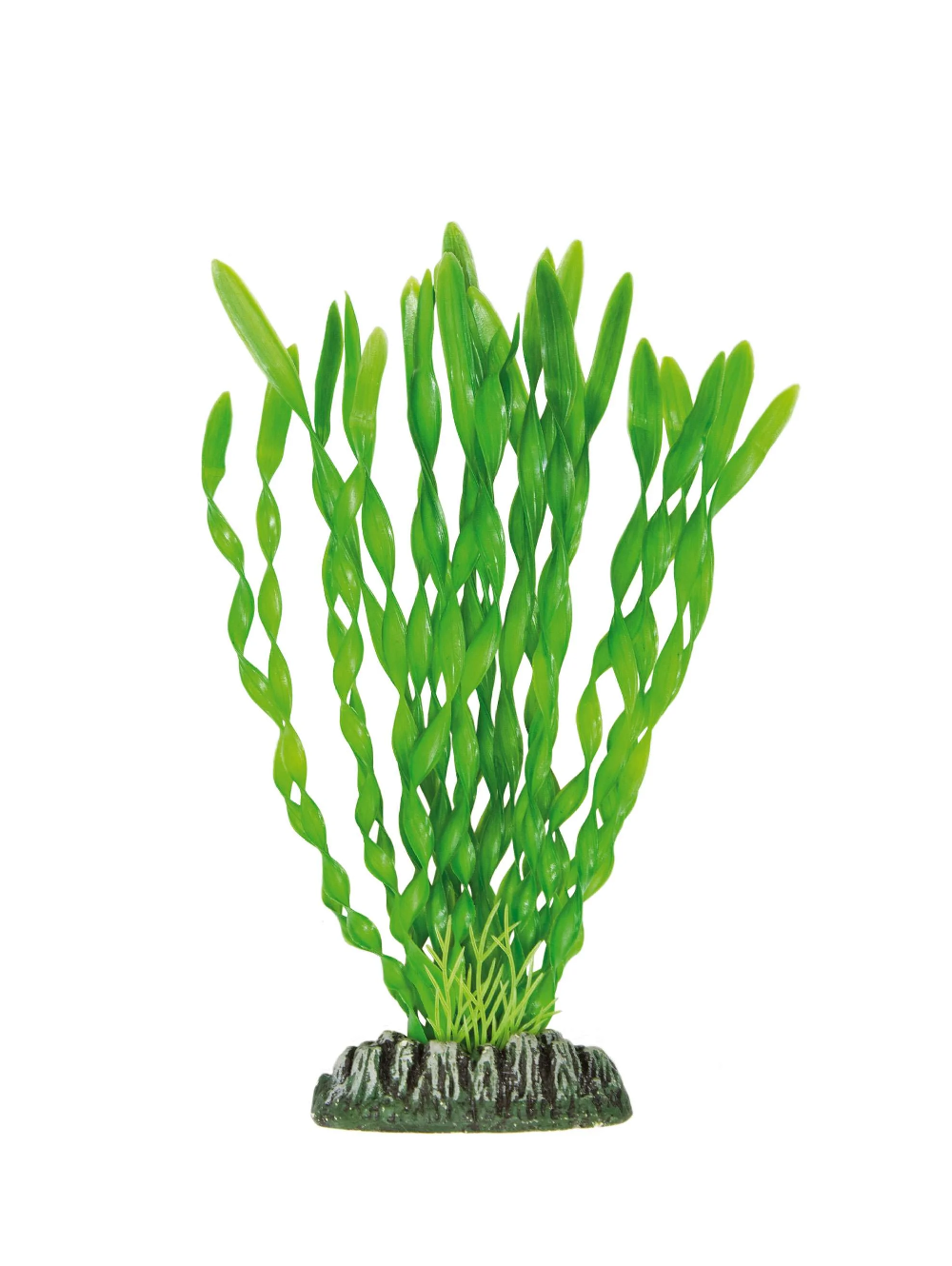 AP1034 planta plastica valesneria verde 21,5cm